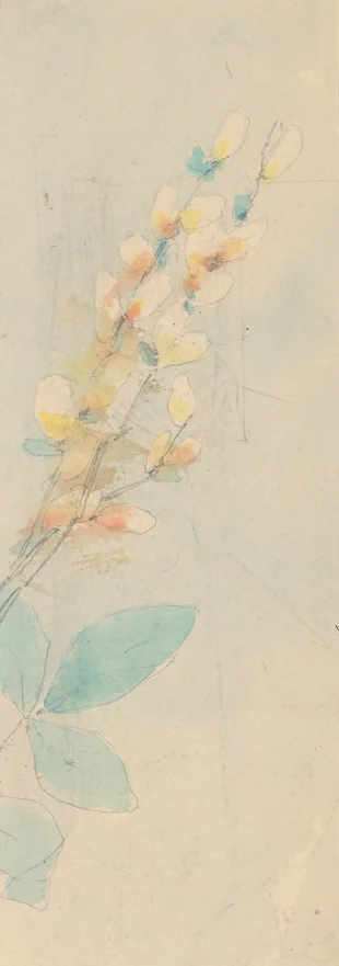 Kvetoucí snítka (fragment z mnichovské Palety z r.1886)