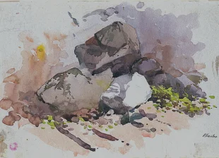 Studie skupiny skalních balvanů