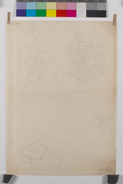 Studie geometrických síťových útvarů