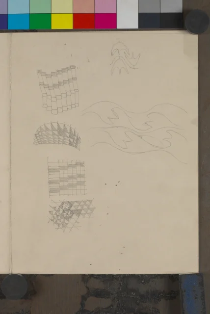 Ornamentální studie