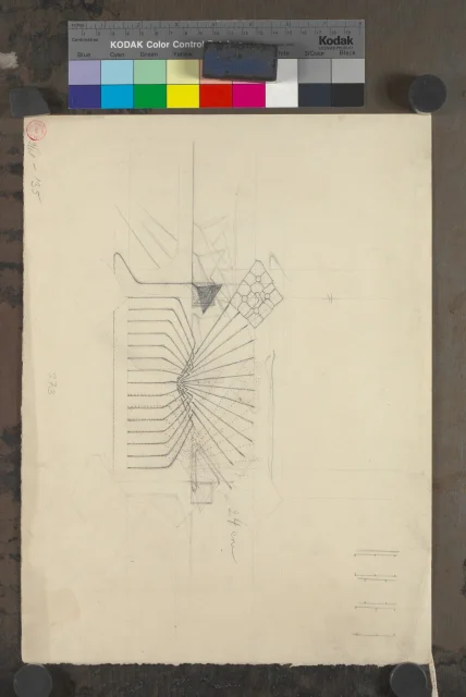 Ornamentální studie