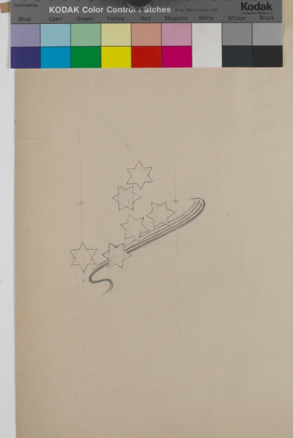 Ornamentální studie
