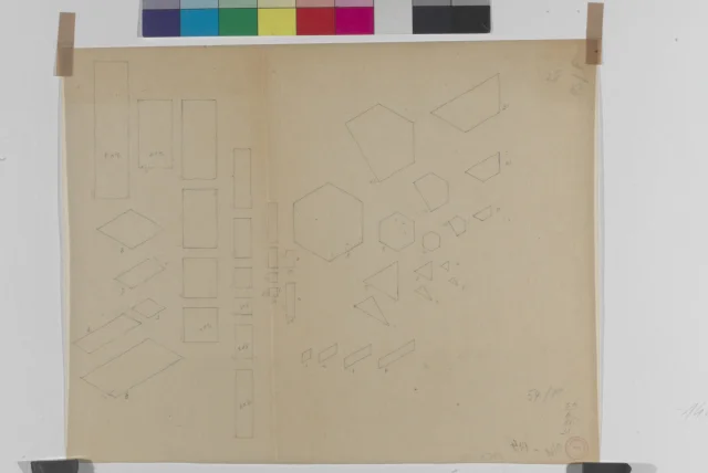 Ornamentální studie