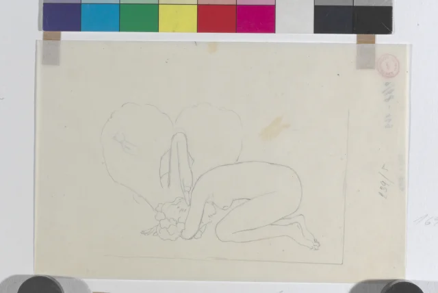 Studie Lada s labutí