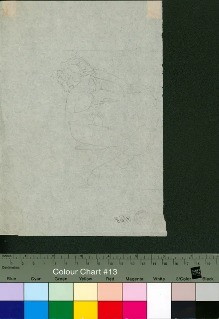 Studie Leda s labutí