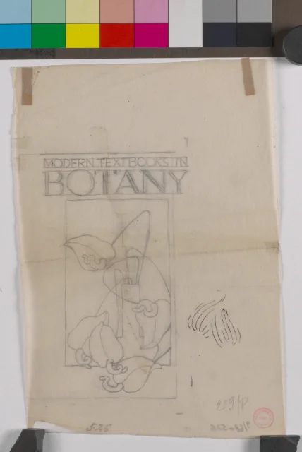 Studie; Návrh na titulní list knihy Moderní text books in botany